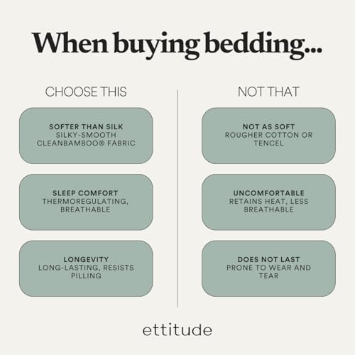 ettitude Organic Bamboo Lyocell Sheet Set Twin-Slate 1
