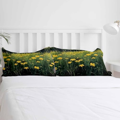 Boanket 3-Piece Queen Duvet Cover Set with Zipper Closure and Pillowcases