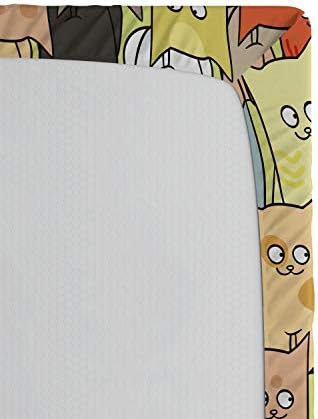 Ambesonne Funny Graphic Kitten Sheet Set