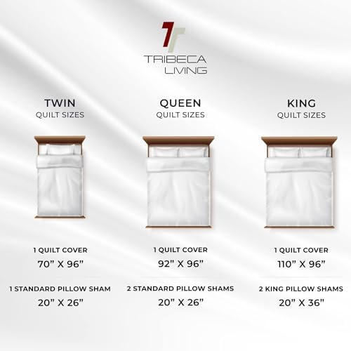 Tribeca Living Luxury Velvet Quilt Set Queen