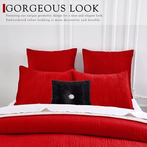 Querencia Velvet Quilt Set Queen - Red Ivory Geometric Comforter