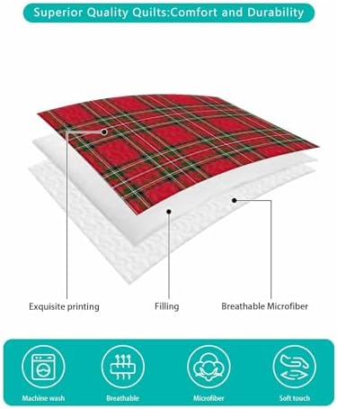 Chees D Zone 3 Piece Quilt Set with Pillow Shams 1