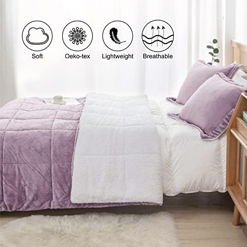 Seward Park Lavender Purple Sherpa Comforter Set Twin XL Size