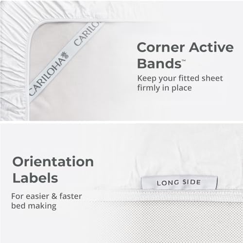 Cariloha Classic 4-Piece Twill Sheet Set - White King