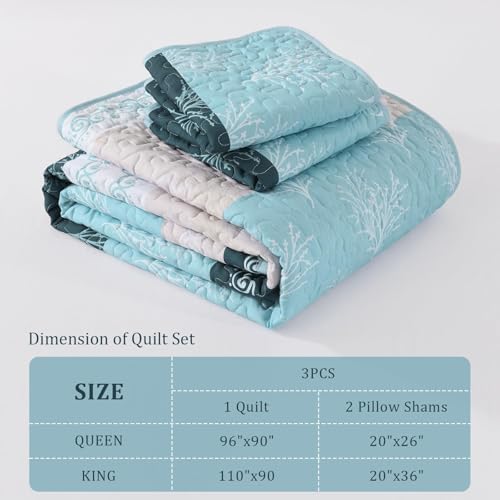 DJY Light Blue Boho Quilt Set 3 Pieces King Size
