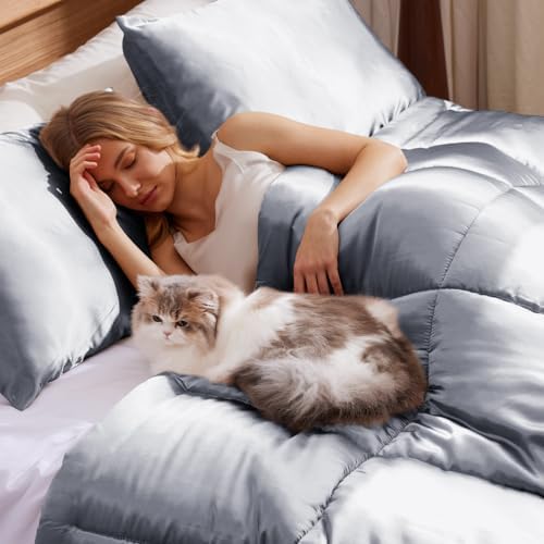 Whale Flotilla 3-Piece Reversible Silky Queen Comforter Set Grey