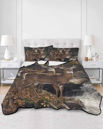 RisQiten Twin XL Quilt Bedding Set with Shams