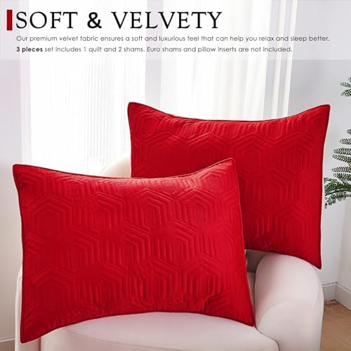 Querencia Velvet Quilt Set Queen - Red Ivory Geometric Comforter