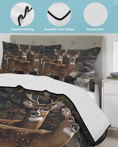 RisQiten Twin XL Quilt Bedding Set with Shams