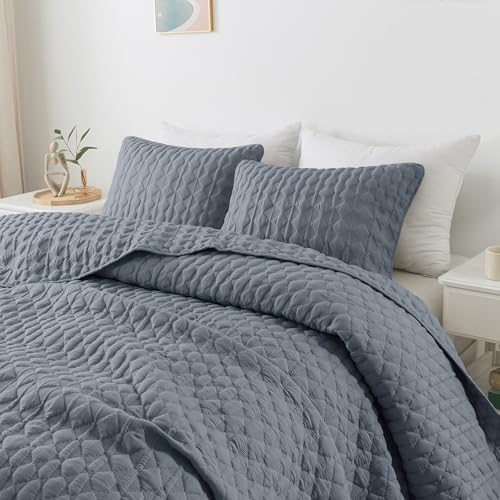 WDCOZY Blue Twin Bedding Set with 1 Pillow Sham