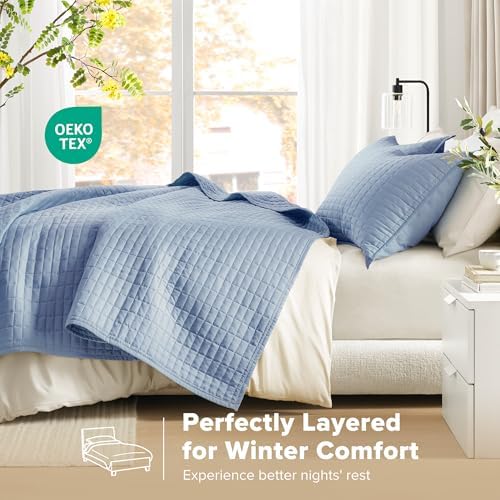 Comfort Spaces Kienna Quilt Set - 3 Piece Blue