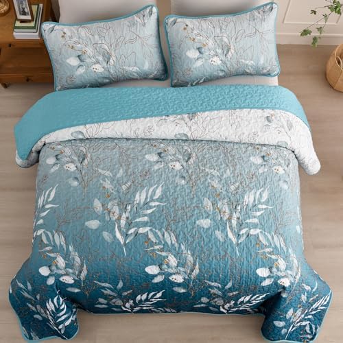 Anibedding Gradient Blue Queen Quilt Set 3-Piece
