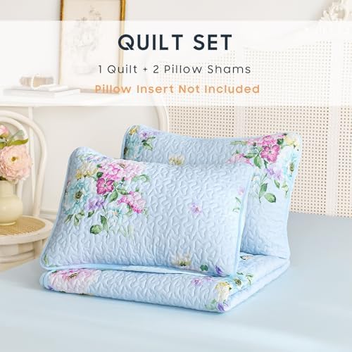 Wake In Cloud Shabby Chic Quilt Set Floral Pattern 3 Pieces QueenFull