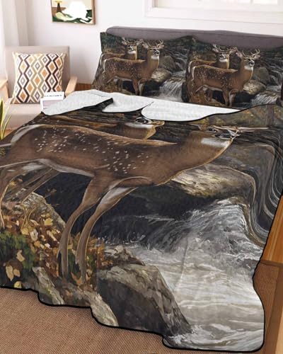 RisQiten Twin XL Quilt Bedding Set with Shams