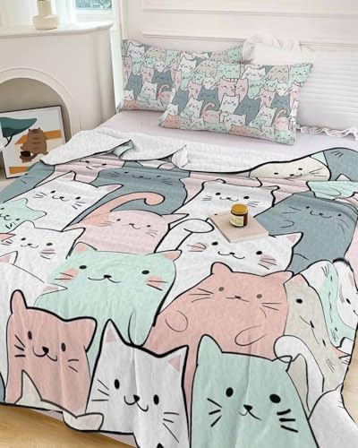 Chees D Zone Twin XL Quilt Set with 2 Pillow Shams