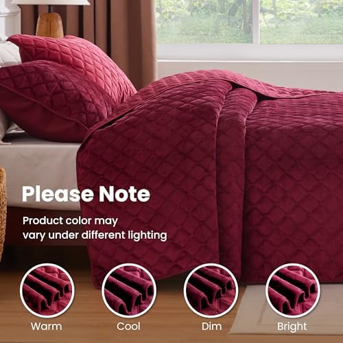 Sophia William Velvet King Quilt Set 3D Air Layer Super Soft Lightweight Burgundy
