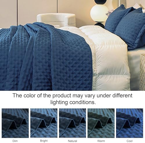 DOWNCOOL Blue King Quilt Set 3-Piece All Season