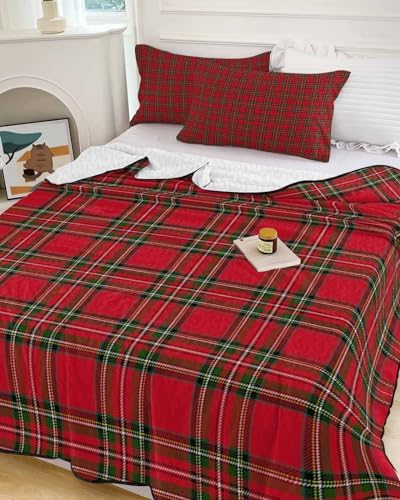 Chees D Zone 3 Piece Quilt Set with Pillow Shams 1