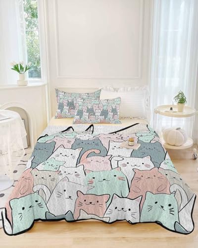 Chees D Zone Twin XL Quilt Set with 2 Pillow Shams