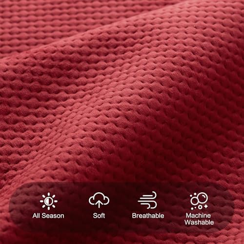 KASENTEX Ultra Soft Velvet Quilt Set King Size Red