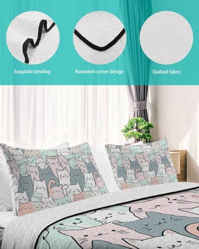 Chees D Zone Twin XL Quilt Set with 2 Pillow Shams