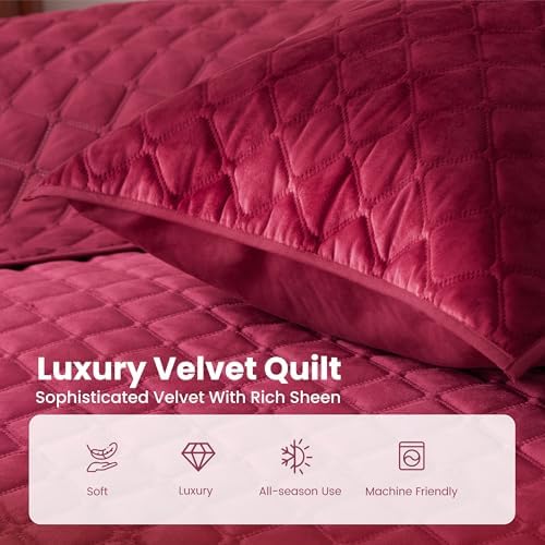 Sophia William Velvet King Quilt Set 3D Air Layer Super Soft Lightweight Burgundy