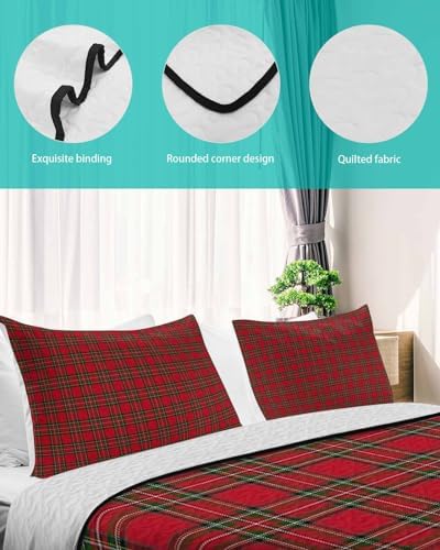 Chees D Zone 3 Piece Quilt Set with Pillow Shams 1