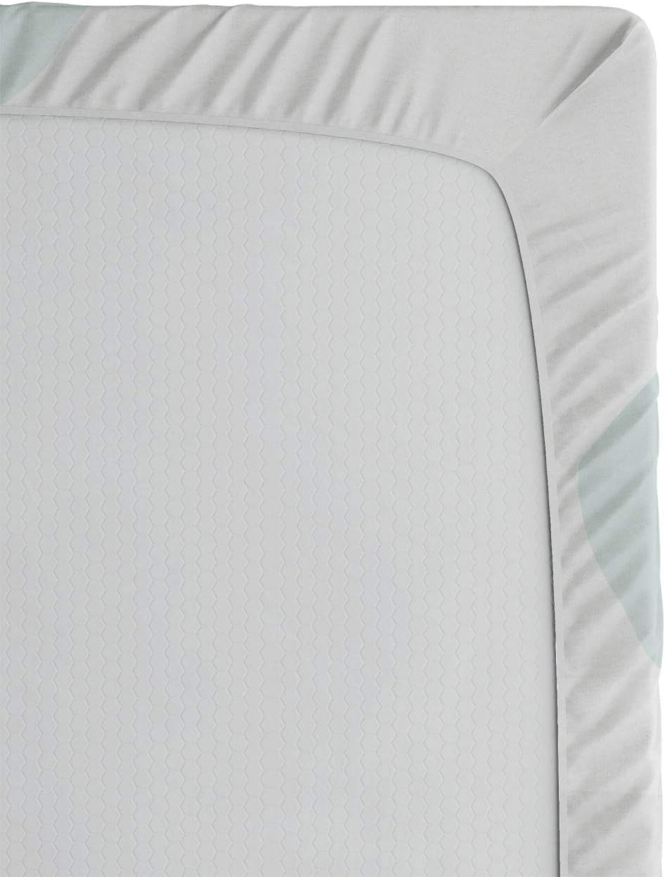 Ambesonne Best Friend Fitted Sheet Turquoise Multicolor