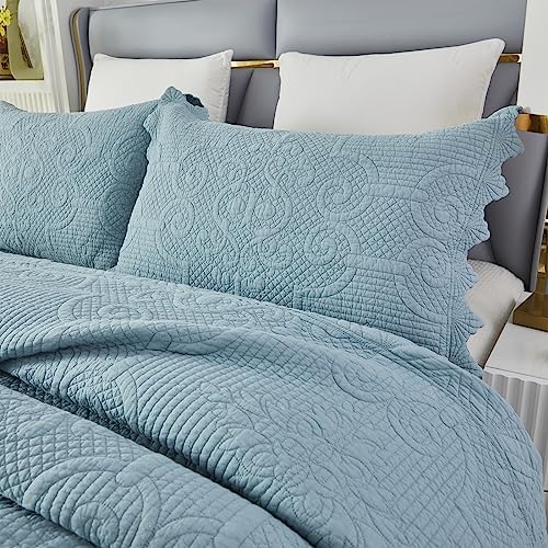 Brandream Queen Size Quilt Set 3-Piece 100 Cotton