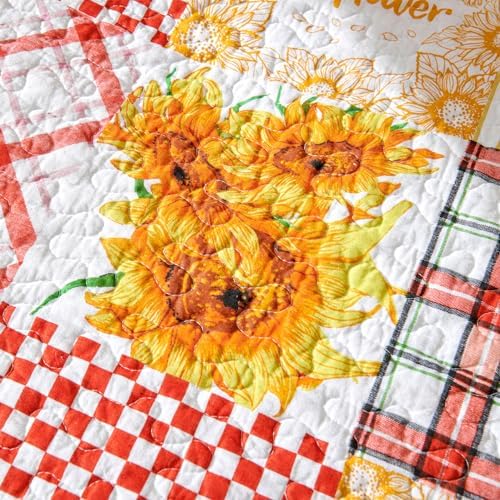 EVENHUG Cotton Quilt Set Twin Size Reversible