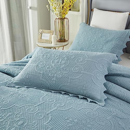 Brandream Queen Size Quilt Set 3-Piece 100 Cotton