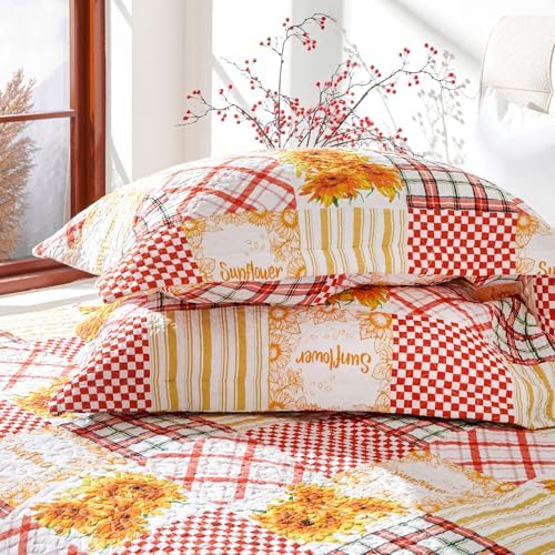 EVENHUG Cotton Quilt Set Twin Size Reversible