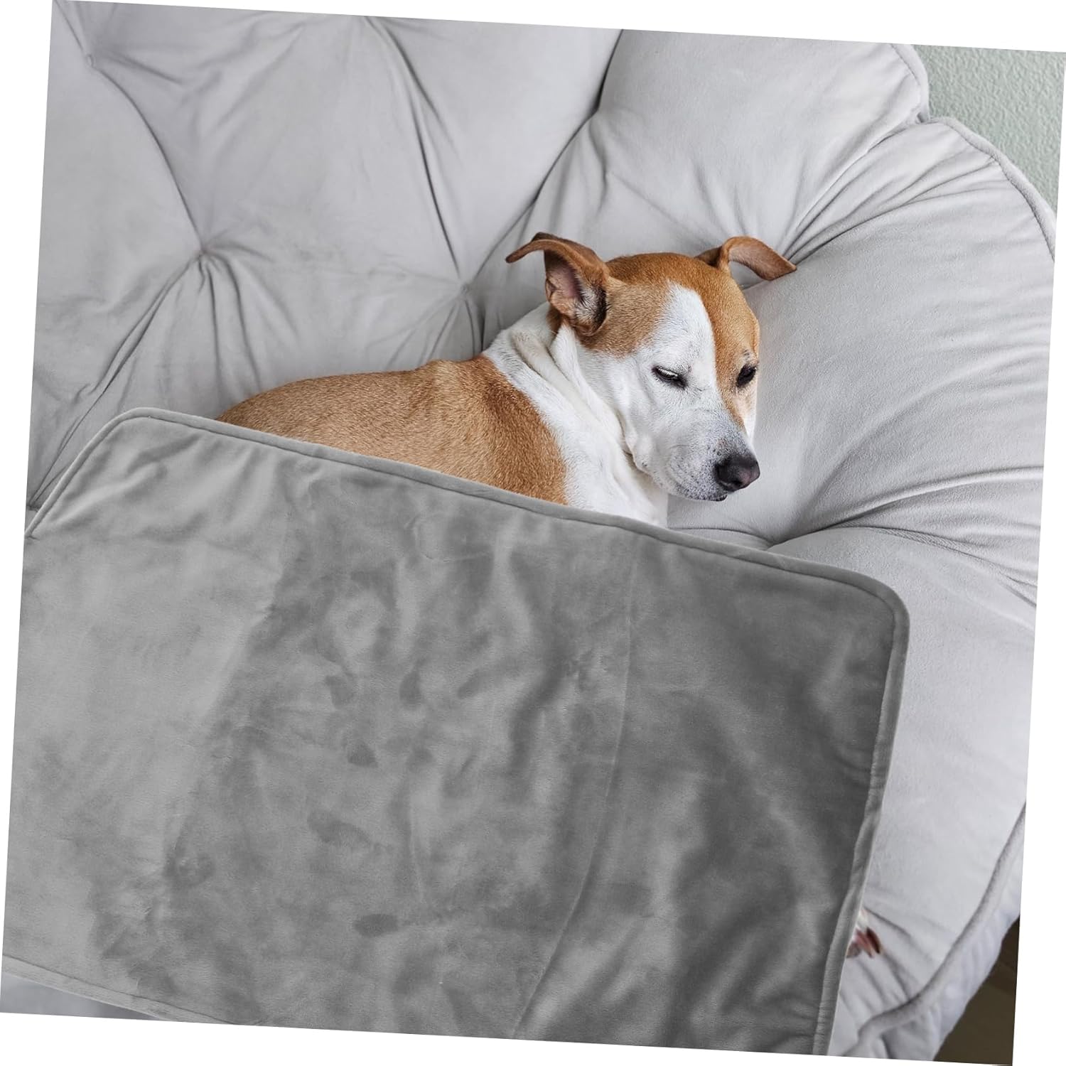 Toddmomy Graphene Electric Blanket for Bed