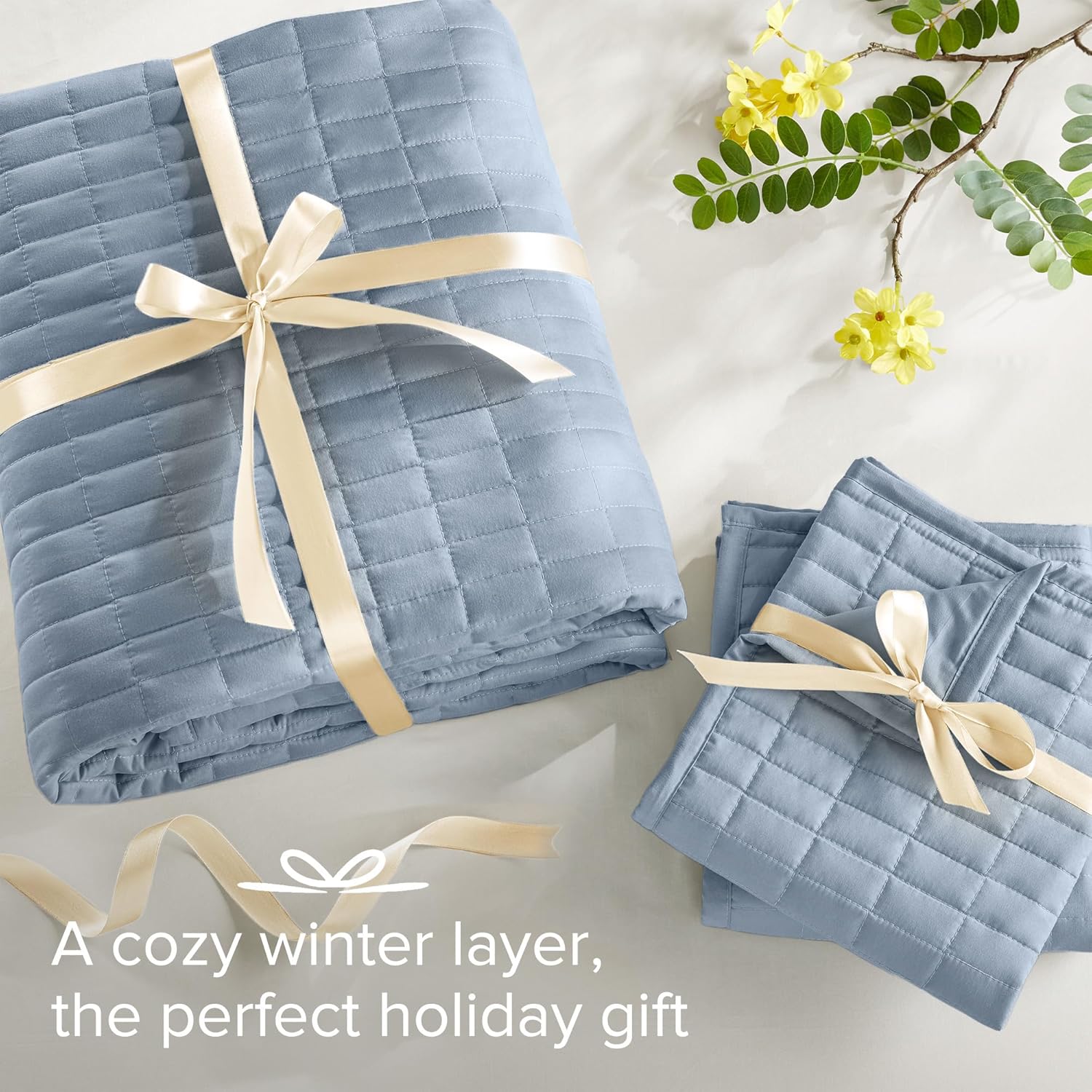 Comfort Spaces Kienna Quilt Set - 3 Piece Blue