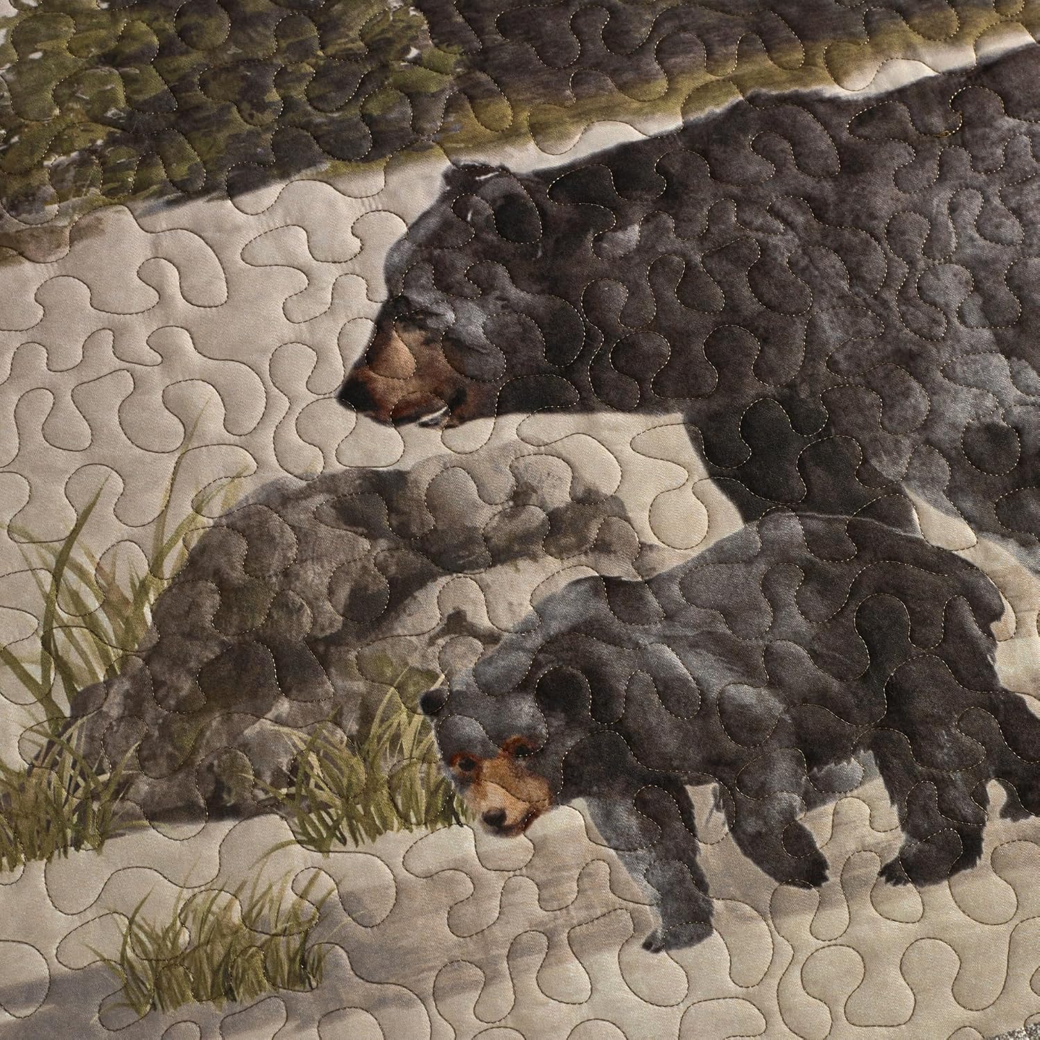 Donna Sharp Bear Panels Twin Quilt Set - 2 Piece